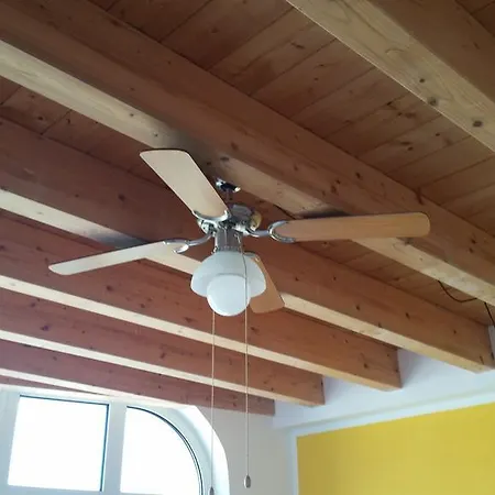 Savonaamare * Savona